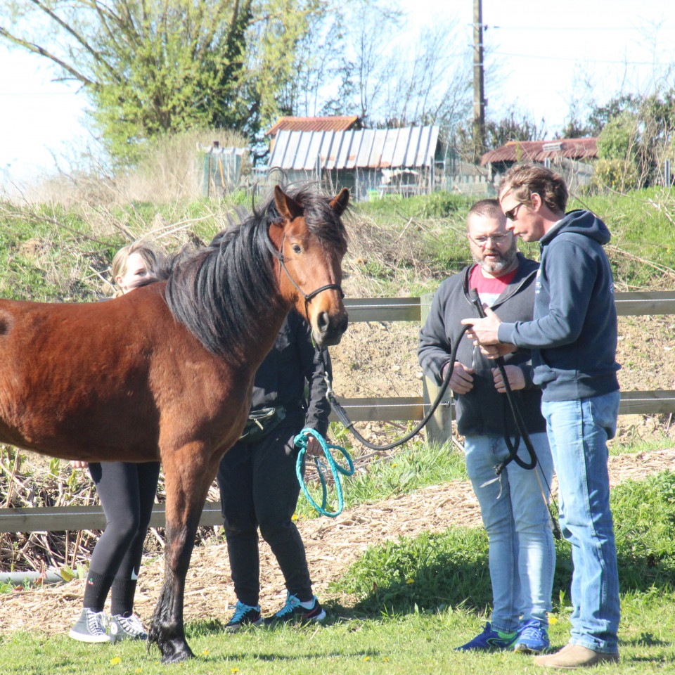 Auditeurs libres - EKEEP