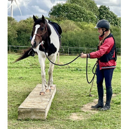 Stage de Mountain trail - 1/2 journée - niveau 1 ou niveau 2