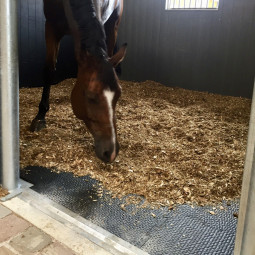 Dalle de boxe K16, tapis caoutchouc pour chevaux - EKEEP